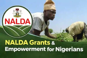 NALDA grants and empowerment programmes in Nigeria showing farmers working on a farm