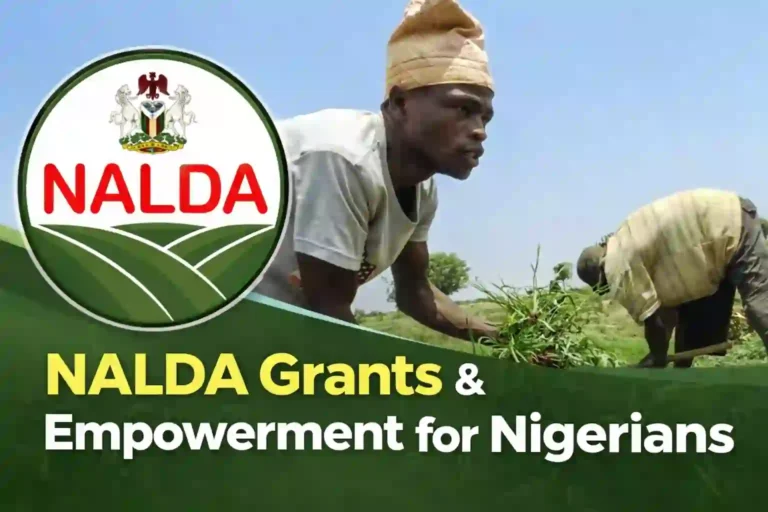 NALDA grants and empowerment programmes in Nigeria showing farmers working on a farm